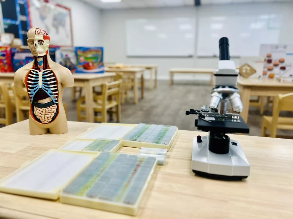 ABUIABACGAAgwtG5vgYozMmrWjDAHzjQFw